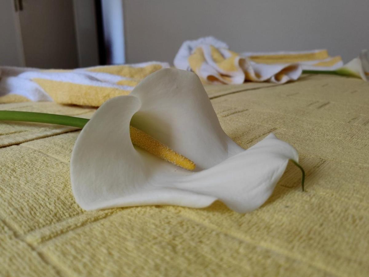 Apartman Lola Višegrad 外观 照片